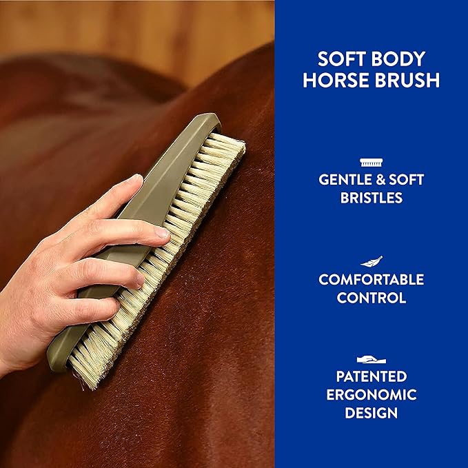 WAHL Professional Animal Equine Soft Body Horse Brush - Black