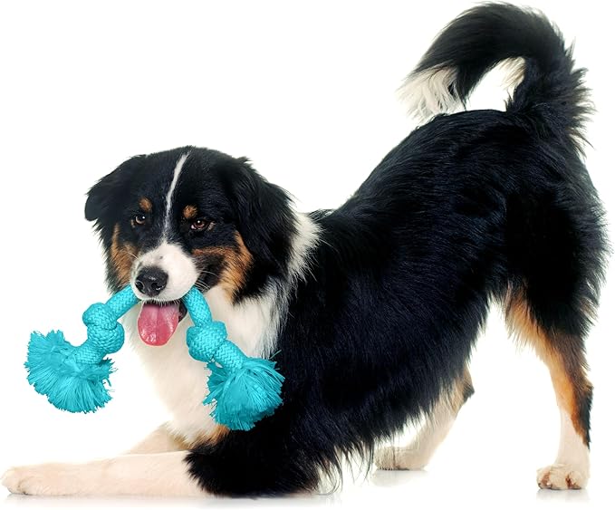 Playology Dog Toys | Dri-Tech Rope Tug of War Dog Toy for Tough Chewers | Peanut Butter Scented Medium Tug Rope Toys for Dogs