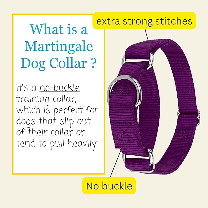 Country Brook Petz - Martingale Dog Collar - Heavy-Duty Training Collar with No Buckle - Service Dog Collar for All Pups - 20 Vibrant Colors (Purple, 1 Inch, Medium)