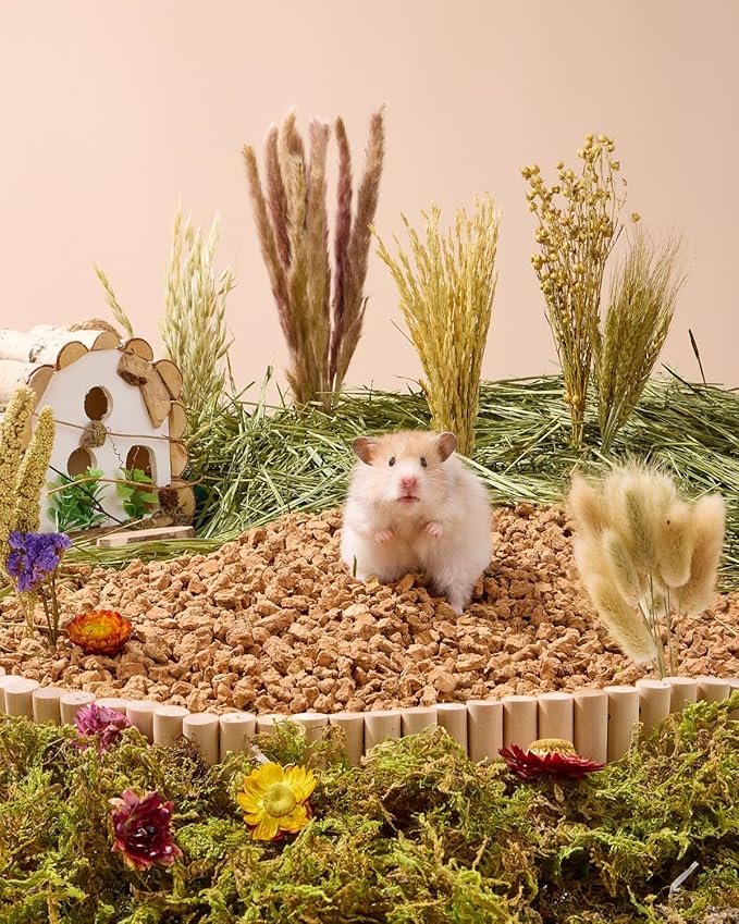BUCATSTATE 60PCS Natural Hamster Bedding - Flowers & Herbs & Sprays for Cage Habitat Decor - Treat Cereal Grain for Dwarf Syrian Gerbils, Mice, Rat, Forage, Enrichment.