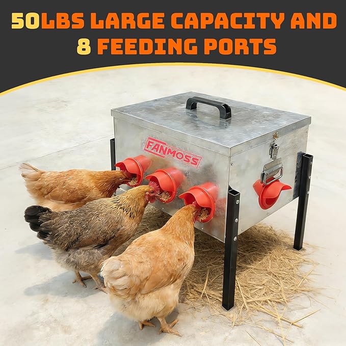 50lb Automatic Chicken Feeder, 8 Ports No Waste Chicken Feeder with Locking Lid, Adjustable Legs & Waterproof Silo, Large Metal Poultry Feeder for Hens, Ducks, Geese, Poultry