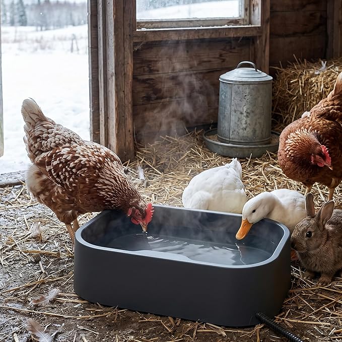 Heated Water Bowl, 5.5L/1.45Gal Extra Large Winter Freeze Proof Pet Heated Water Bowl with Anti Chewy Long Cord, BPA-Free, for Dog Cats Rabbit Chicken Duck Squirrel Animals Outside Heated Water Bucket