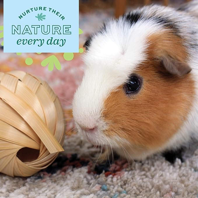 Oxbow Enriched Life Run 'N Rattle, Natural Wood Chew Toy for Rabbits, Guinea Pigs, and Hamsters, Promotes Dental Health and Foraging, Safe Enrichment Accessory, Small Pet Treating Toy