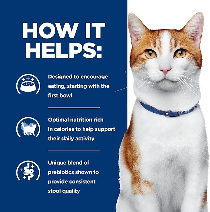 Hill's Prescription Diet ONC Care Wet Cat Food, Chicken & Vegetable Stew, Veterinary Diet, 2.9 oz. Cans, 24-Pack