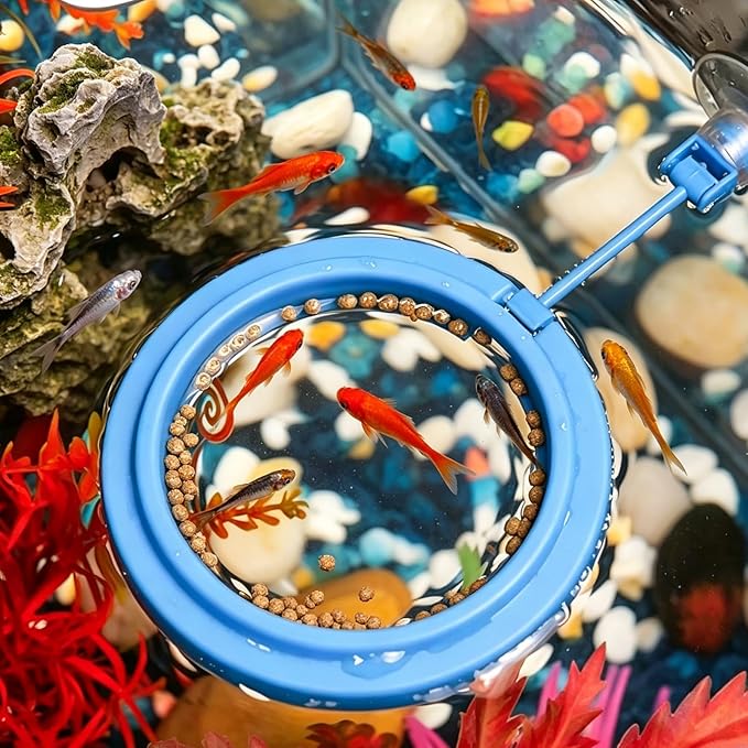 4 Pcs Fish Feeding Ring, Round & Square Floating Aquarium Feeding Ring with Suction Cup, Easy to Use for Betta, Goldfish, Guppy, Turtle & Small Fish (Blue)
