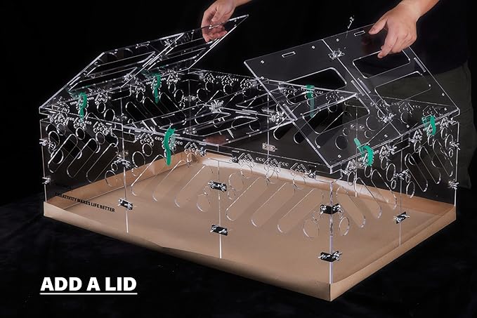 Acrylic Guinea Pig Cages - 2x2ft Small Animal Cage | DIY Extendable | Easy-to-Clean Disposable Bottom (Without Lid)