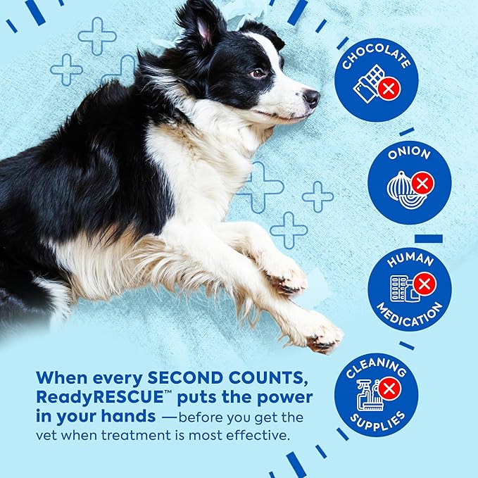 Dr. Cuddles ReadyRESCUE Activated Charcoal Powder for Dogs and Cats - Veterinary Grade Pet Emergency First Aid Toxin Adsorption - Fast Acting Ready to Use Oral Syringe Application - 30 g (Pack of 12)