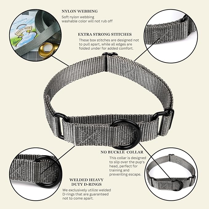 Country Brook Petz - Martingale Dog Collar - Heavy-Duty Training Collar with No Buckle - Service Dog Collar for All Pups - 20 Vibrant Colors (Charcoal, 3/4 Inch, Small)