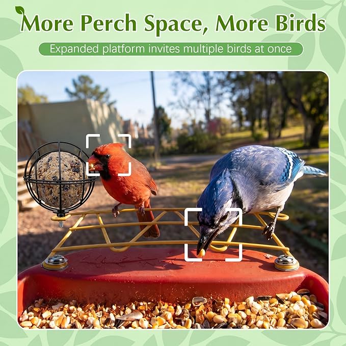Metal Perch Extender & Suet Ball Holder Compatible with Bird Buddy PRO Solar Bird Feeder, Rust-Resistant Outdoor Birds Feeder Accessory, Wider Landing Space, Add On with Screws Included