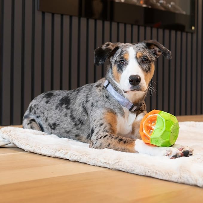 SPOT Geo Play Dual-Texture Cube Dog Toy – Durable Rubber & Foam, Squeaky, Floating, Treat-Dispensing Toy for Interactive Play, 3.5 Inches (Pack of 2)