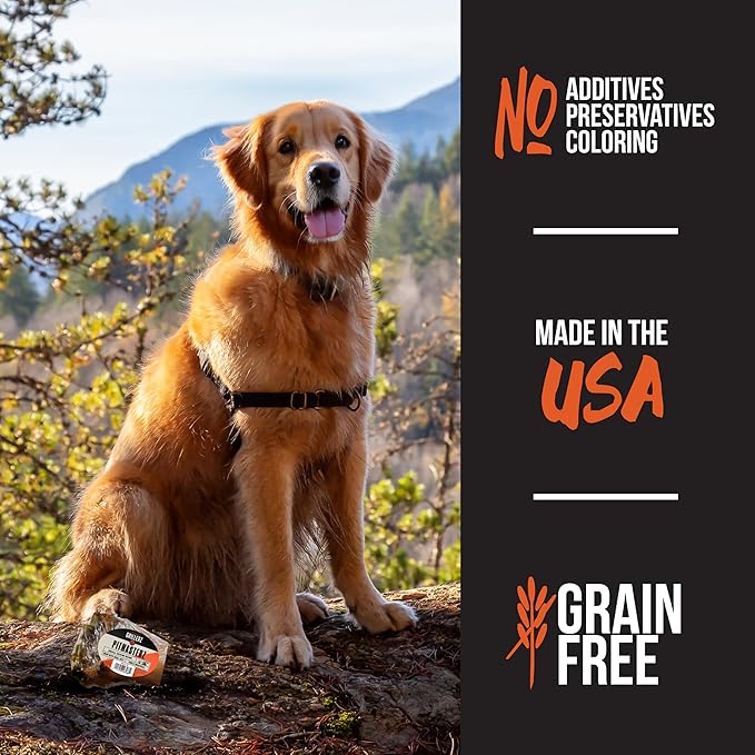 Grillerz 7 inch Small Shank Bone, Rawhide Free, All Natural Dog Treat for All Breeds, High Protein, Long Lasting, Easy to Digest, Dog Chew for Healthy Teeth