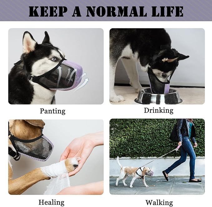 Mayerzon Dog Muzzle, Patented Mesh Soft Muzzles for Large Medium Small Dogs Poodle Husky Doberman Labrador Retriever for Scavenging Grooming Biting Chewing, Breathable Reflective Mussel with Collar