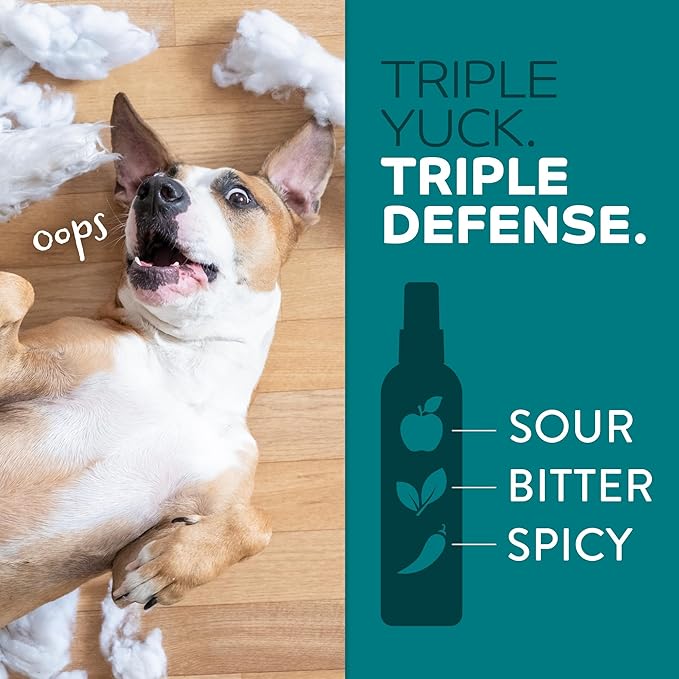 TropiClean No Chew Spray for Dogs, Better Than Bitter Apple Spray, Safe & Natural Chew + Lick Deterrent, Protect Home, Hot Spots & More! 8oz