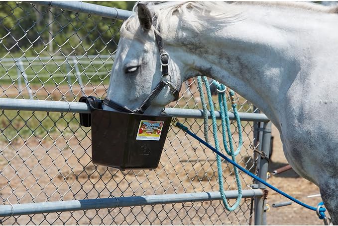 Little Giant® Plastic Hook Over Feeder | Mountable Livestock & Pet Feed Bucket | Horse Feed Bucket | Made in USA | 15 Quarts | Black