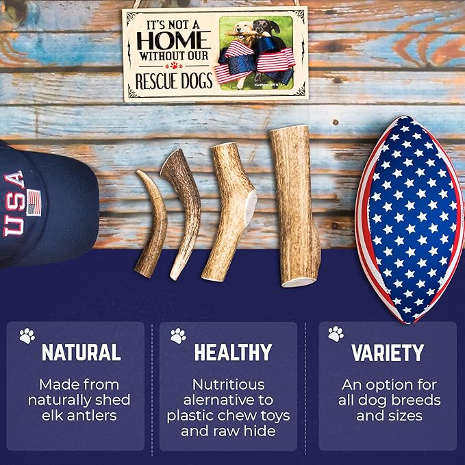 Devil Dog Pet Co. Elk Antlers for Dogs, Natural Dog Chew for Aggressive Chewers - Long Lasting and Odor Free - USA Sourced - Cleaner Teeth, Anxiety & Boredom Relief - Whole Petite 3.5"+ 6 Pack
