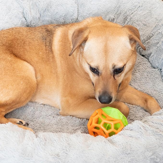 SPOT Geo Play Dual-Texture Cube Dog Toy – Durable Rubber & Foam, Squeaky, Floating, Treat-Dispensing Toy for Interactive Play, 3.5 Inches