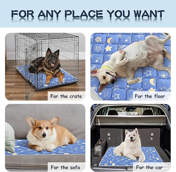 Bubble bear Dog Crate Mat - Ultra Soft, Washable & Anti-Slip Kennel Pad for Small/Medium/Large Dogs, Dark-Hued to Hide Stains (36"x23")