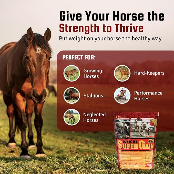 Horse Guard Super Weight Gain 10 lb – 3-in-1 Horse Weight Gain Supplement with Full-Fat Soy, Probiotics & Vitamins – Supports Digestion, Coat & Muscle Health – 20 Servings