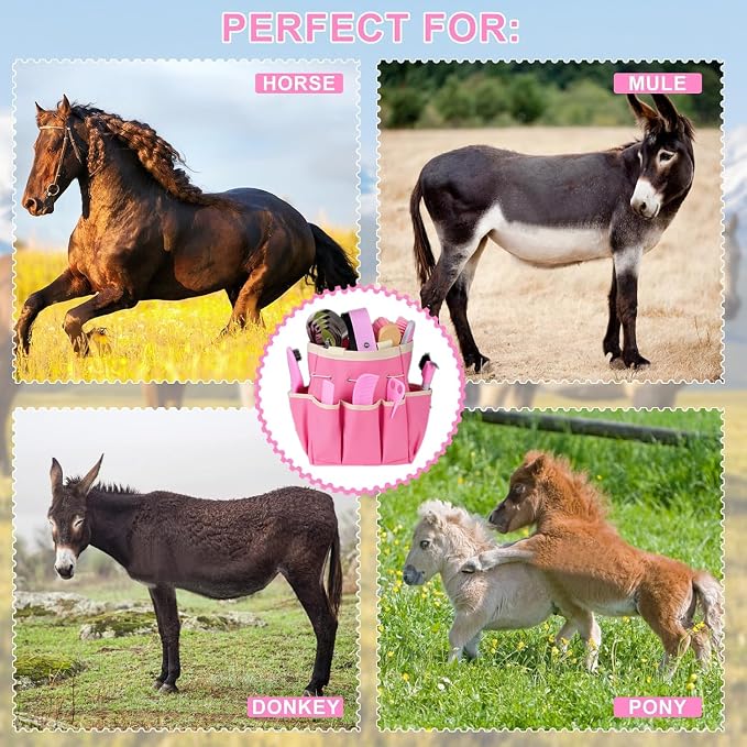 Horse Grooming Kit 12PCS, Horse Brushes for Grooming Supplies with Tote Bag, Horses Tack Brush Set for Effective Grooming and Cleaning, Gift for Horse Riders Beginners