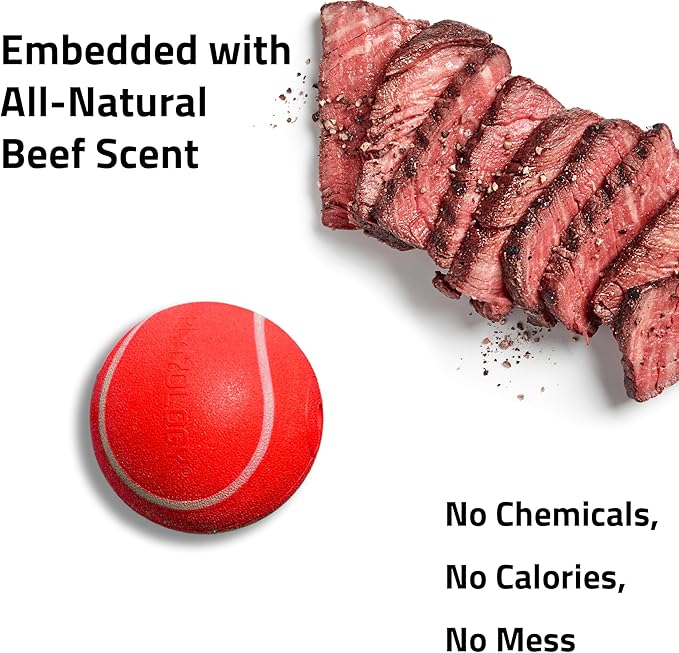 Playology Dog Toys | Squeaky Chew Ball for Large Dogs | Beef Scented Jumbo Dog Ball | Bouncy Floating Chew Toys for Fetch