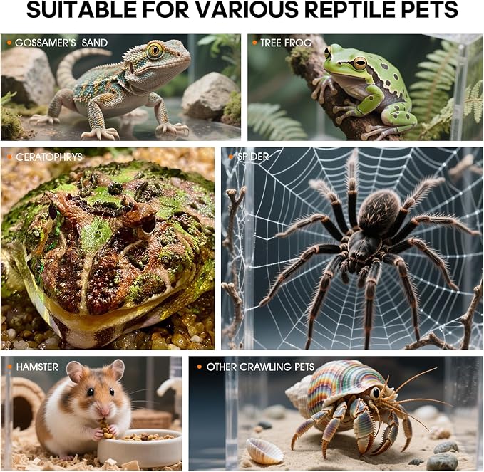 MYGIIKAKA Jumping Spider Enclosure Accessories, Tarantula Spider Box, Bug Cage, Praying Mantis Habitat Enclosure, Snail Insect Terrarium, Caterpillar Habitat (6x6x12 inch)
