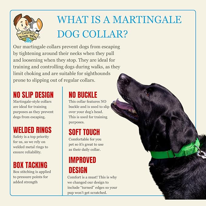 Country Brook Petz - Martingale Dog Collar - Heavy-Duty Training Collar with No Buckle - Service Dog Collar for All Pups - 20 Vibrant Colors (Hot Lime Green, 3/4 Inch, Small)