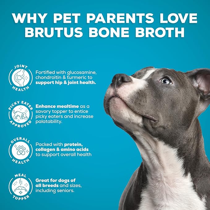 Brutus Chicken Broth Liquid for Dogs - All Natural Chicken Bone Broth for Dogs with Chondroitin Glucosamine Turmeric -Human Grade Dog Food Toppers for Picky Eaters & Dry Food -Tasty & Nutritious