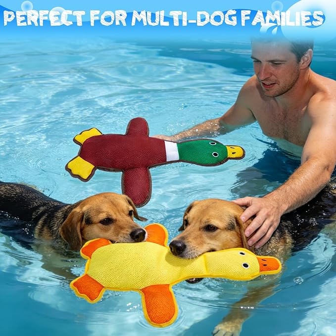 EXPAWLORER Squeaky Floating Dog Toys for Water Fetch, Stuffed Duck Dog Pool Toys with Squeakers, Soft Mesh Interactive Outdoor Summer Essentials for Small Medium Large Dogs, 2 Pack