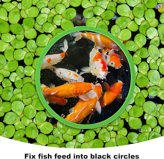 PAGOW 10pcs Fish Feeding Rings Set, Floating Aquarium Plant Corral, Round Fish Feeder Rings for Fish Tank, Floating Plant Ring, Fish Tank Aquarium Accessories for Betta (Green)