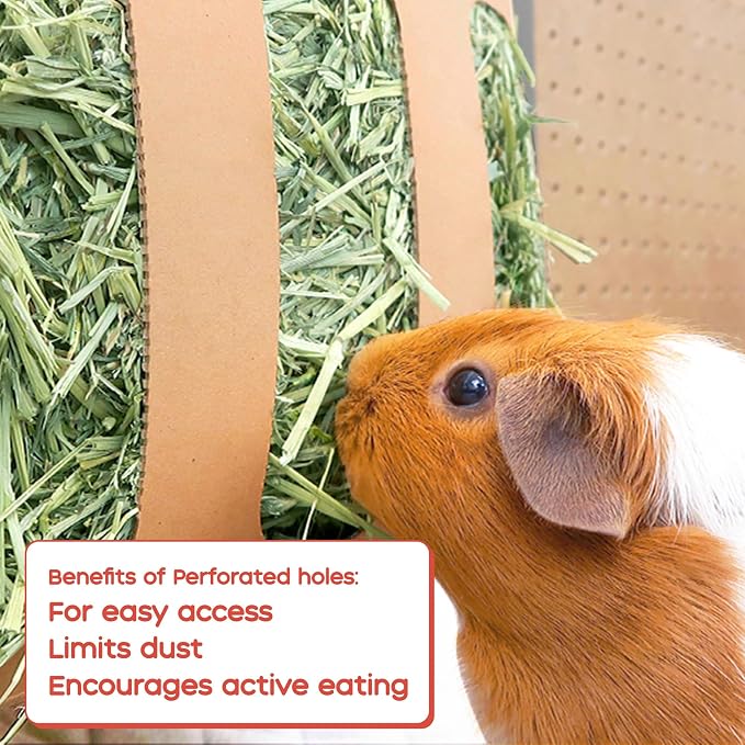 GuineaDad Orchard Hay Box – 3 Pack Guinea Pig Food – Cage-Mounted Feeding System – Orchard Hay for Guinea Pigs, Rabbits & Small Animals – 100% Recyclable & Biodegradable