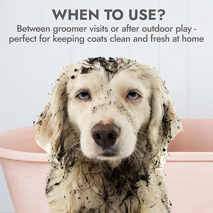 Kong Oatmeal Dog Shampoo, Soothes & Moisturizes, Oatmeal & Honey Scent - 18 fl oz, Biodegradable, pH-Balanced, Sulfate-Free, Cruelty-Free, for Sensitive Skin, All Coat Types, Made in USA