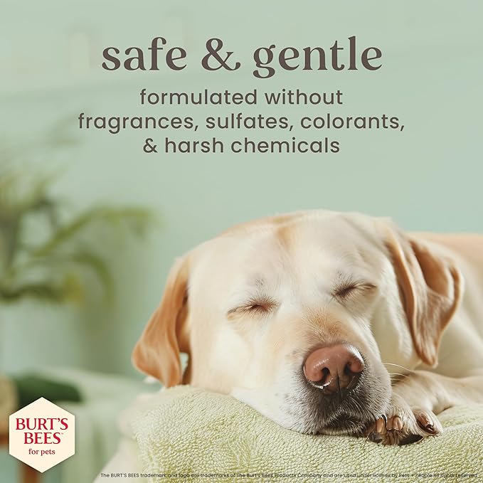 Burt's Bees for Pets Manuka Honey Tearless 2-in-1 Dog Shampoo and Conditioner, with Jojoba Oil, 95% Natural Origin, Free of Sulfates, Milk and Honey Scent, 16 Fl Oz