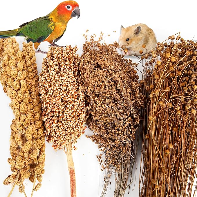 Fhiny Natural Hamster Bedding, Edible Hamster Sprays Flowers & Herbs Gerbil Habitat Enclosure Decor Grain Treats Cage Accessories for Dwarf Syrian Hamster Gerbil Mice Lemming Degus