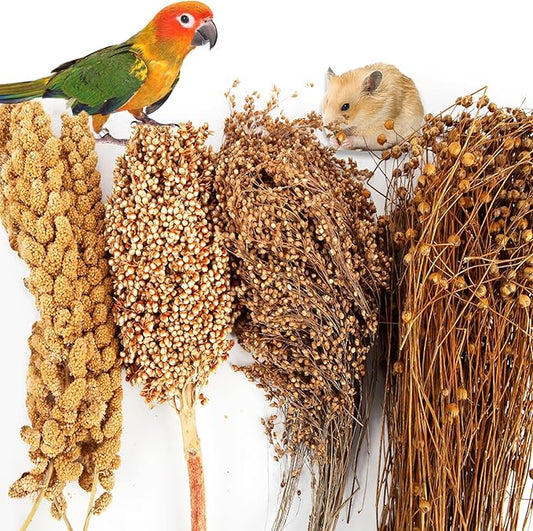 Fhiny Natural Hamster Bedding, Edible Hamster Sprays Flowers & Herbs Gerbil Habitat Enclosure Decor Grain Treats Cage Accessories for Dwarf Syrian Hamster Gerbil Mice Lemming Degus