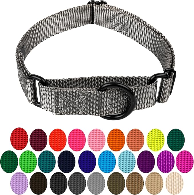 Country Brook Petz - Martingale Dog Collar - Heavy-Duty Training Collar with No Buckle - Service Dog Collar for All Pups - 20 Vibrant Colors (Charcoal, 3/4 Inch, Small)