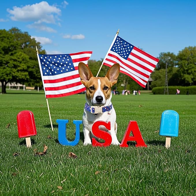 Lionet Paws 4th of July Dog Collar- Cute Summer Blue Dog Collars with Plastic Buckle and Flag Pendant,Light Adjustable Dog Collars for Medium Large Dogs