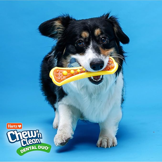 HARTZ Chew 'n Clean Dental Duo Bacon Flavored Dog Chew Toy - 1 Count