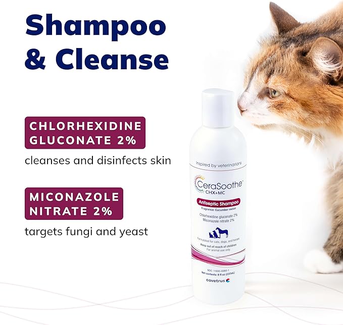 CeraSoothe® CHX+MC Antiseptic Shampoo for Dogs, Cats & Horses – Skin Cleansing with Chlorhexidine & Miconazole 16 oz