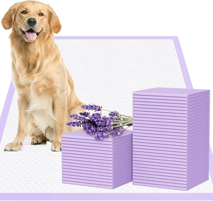 JollyMate 28"x34" Extra Large Dog Pee Pads, 30 Counts Leak-Proof Heavy Absorbent Pee Pads for Dogs, Quick Dry Disposable Dog Training Pads