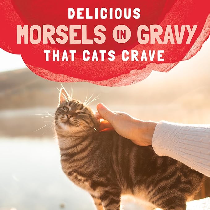 Natural Balance Original Ultra Platefulls Adult Grain-Free Wet Cat Food, Salmon, Tuna & Crab Recipe in Gravy, 3 Ounce Pouch (Pack of 24)