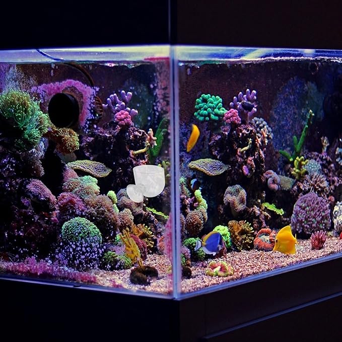 2pcs Aquarium Fish Feeder Floating Feeding Cup Set Acrylic Fish Food Container for Bloodworm and Brine Shrimp Large and Small Sizes