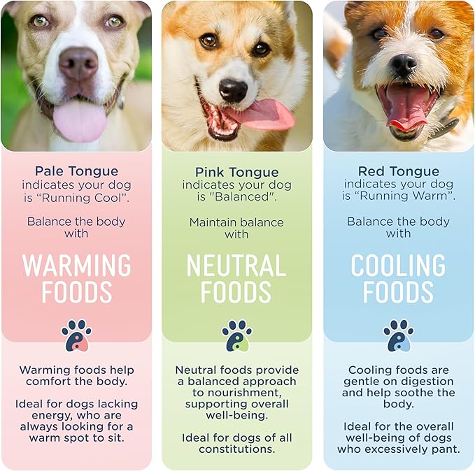 Side by Side Beef & Salmon Stew - Neutral Wet Dog Food & Dog Food Topper - Made with Nutrients & Whole Raw Ingredients - Human-Grade, No Artificial Additives or Fillers - USA Made (12.5 oz, 12-Pack)