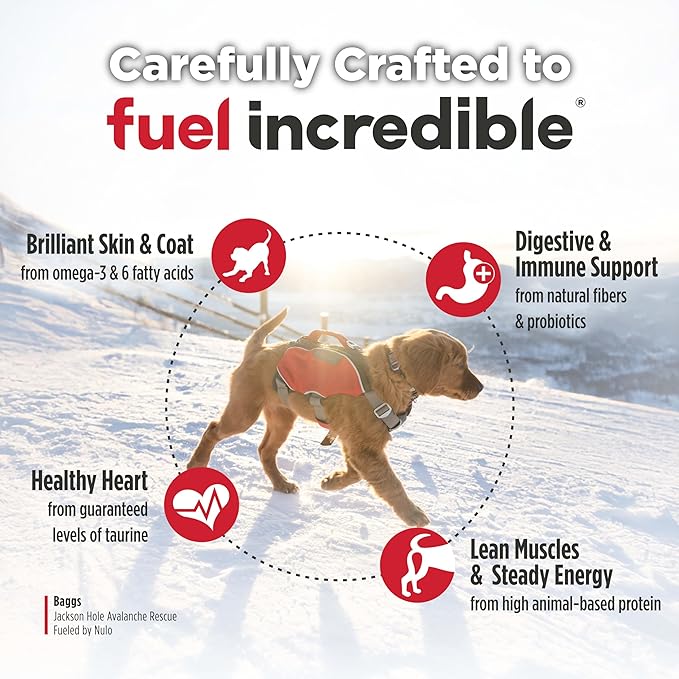 Nulo Freestyle Large Breed Puppy Food - Salmon & Turkey, Dry Grain Free Dog Food for Puppies, Natural, High Protein Kibble with DHA, Probiotics, Calcium & Phosphorus for Healthy Development, 26lb Bag
