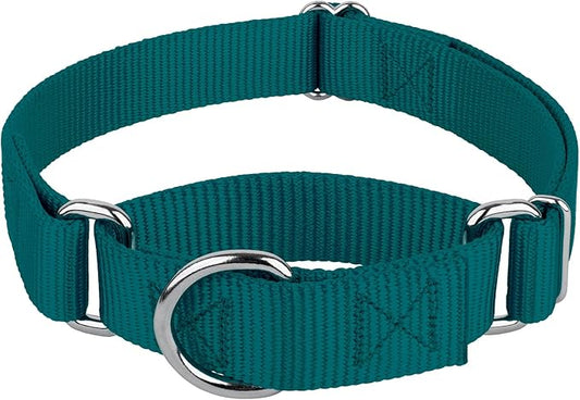 Country Brook Petz - Martingale Dog Collar - Heavy-Duty Training Collar with No Buckle - Service Dog Collar for All Pups - 20 Vibrant Colors (Teal, 3/4 Inch, Small)
