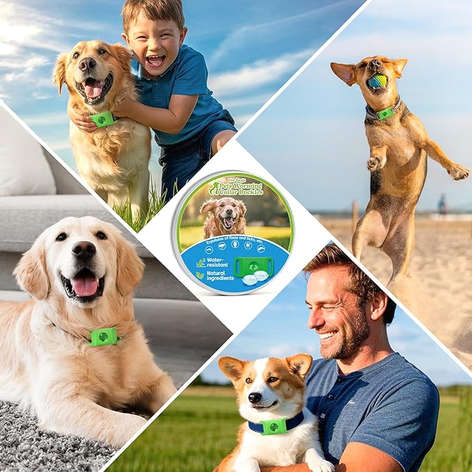 Natural Flea and Tick Prevention Dog Tag – Waterproof Collar Pendant with 2 Extra Refills, Green, Safe for All Breeds Collar Not Included