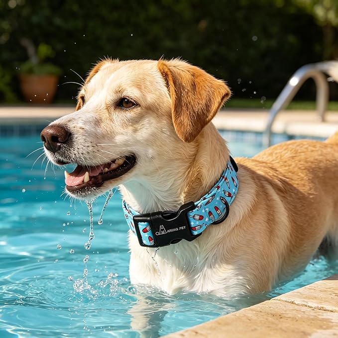 ARING PET Summer Dog Collar, Cute Blue Ice Pop Pet Collars with Quick Release Buckle for Puppy Small Medium Large Boy Girl Dogs-M