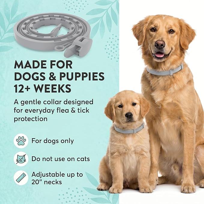 Flea and Tick Prevention Collars for Dogs: Natural Essential Oil Pet Flea Tick Collar Treatment - Break-Away Collars for Extra Large, Medium, Small Dogs, Fleas Ticks Control for Puppies