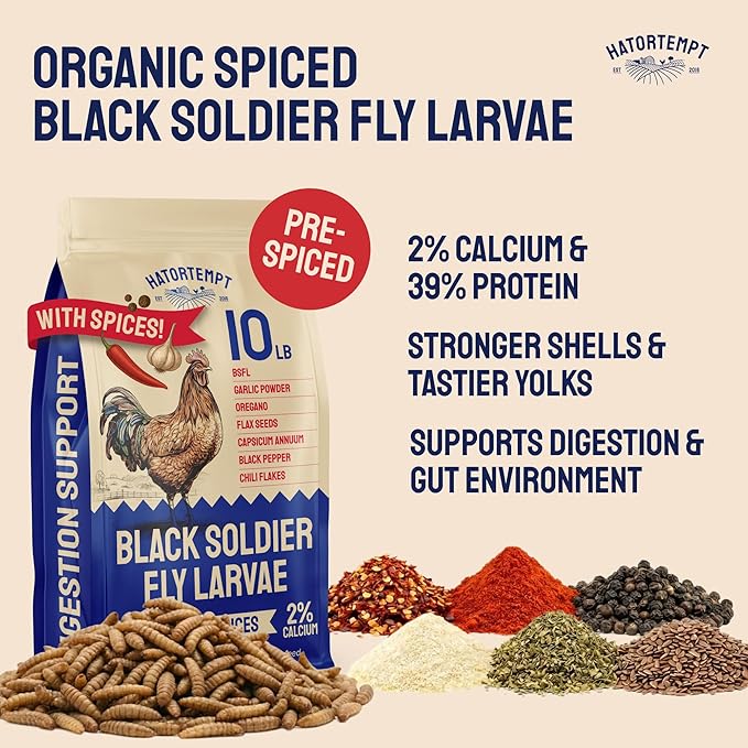 Hatortempt Spiced Black Soldier Fly Larvae for Chickens 10lb - High-Calcium, Organic Worm Treats for Laying Hens - Coated with a Chili Mix for Chickens