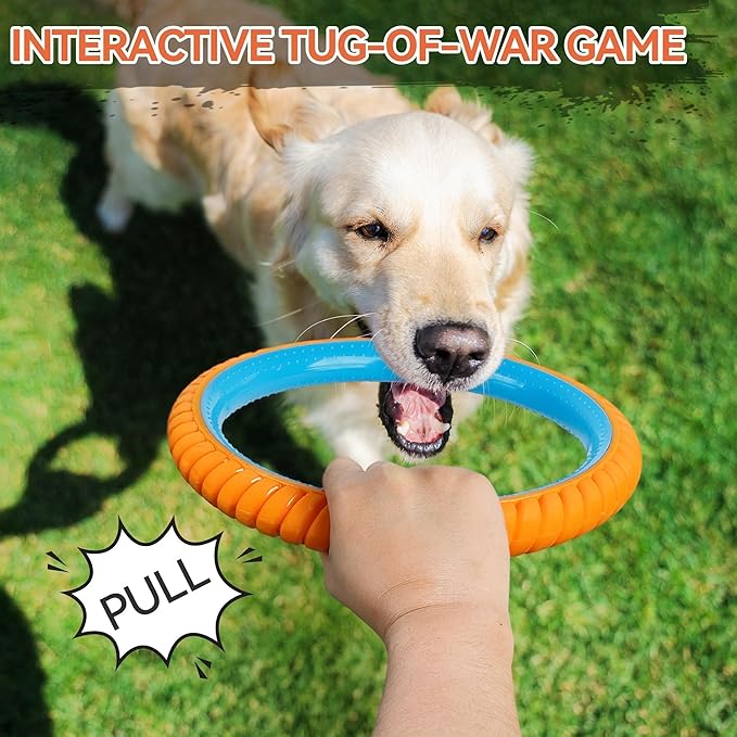ALL FOR PAWS 10.8" Dog Ring Toy, Interactive Dog Toy for Fetch & Tug of War, Rubber Dog Toy for Medium to Large Dogs, Outdoor Dog Toy for Training & Exercise, Anxiety Relief & Boredom