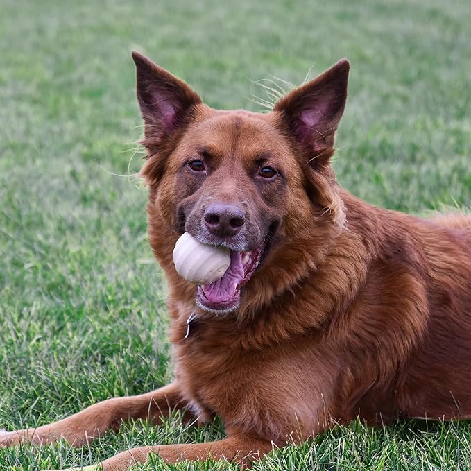 Single, Aesthetic Fetch & Play Dog Ball Toy with Beef Flavor and Squeaker, Natural Rubber/Latex, Medium Sized (2.5”) Neutral Colors (Brown)